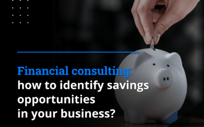 Financial consulting: how to identify savings opportunities in your business?